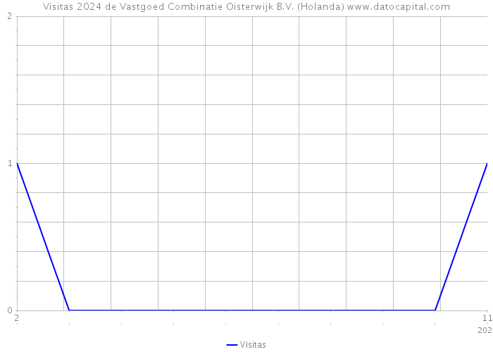 Visitas 2024 de Vastgoed Combinatie Oisterwijk B.V. (Holanda) 