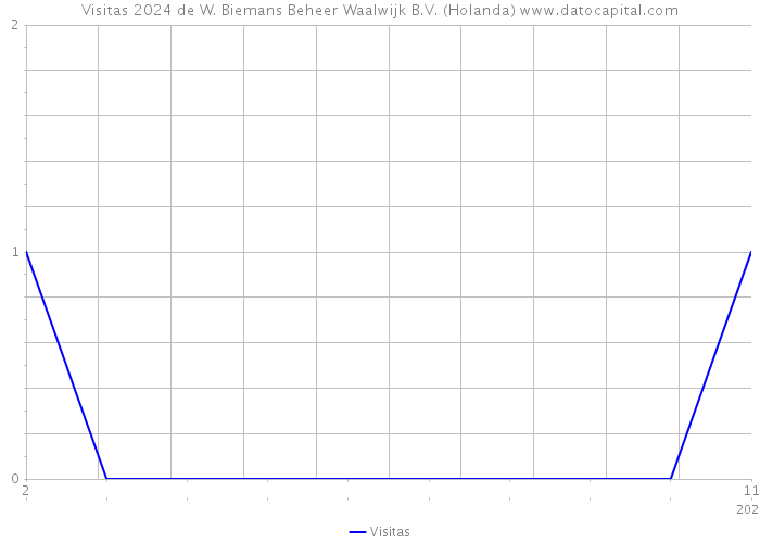 Visitas 2024 de W. Biemans Beheer Waalwijk B.V. (Holanda) 