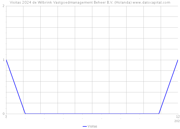 Visitas 2024 de Wilbrink Vastgoedmanagement Beheer B.V. (Holanda) 