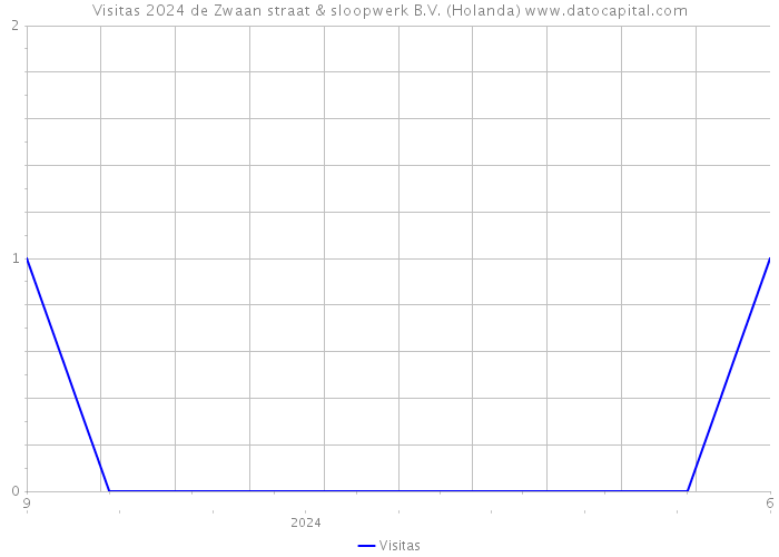 Visitas 2024 de Zwaan straat & sloopwerk B.V. (Holanda) 