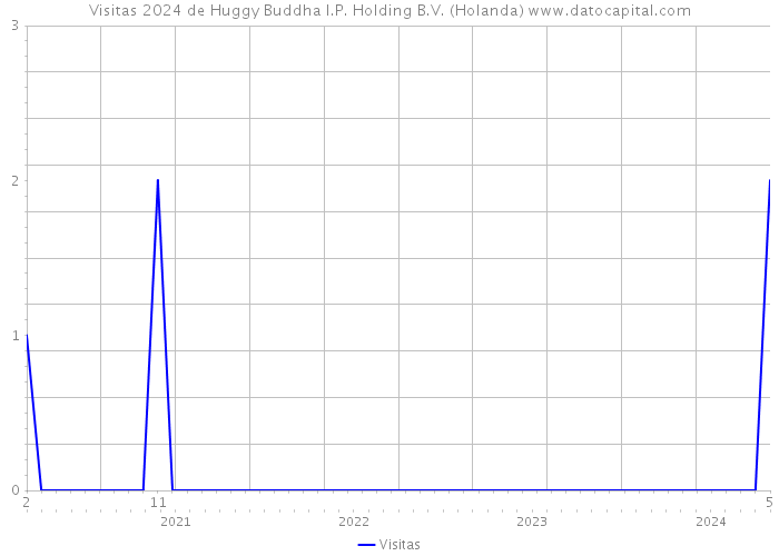 Visitas 2024 de Huggy Buddha I.P. Holding B.V. (Holanda) 