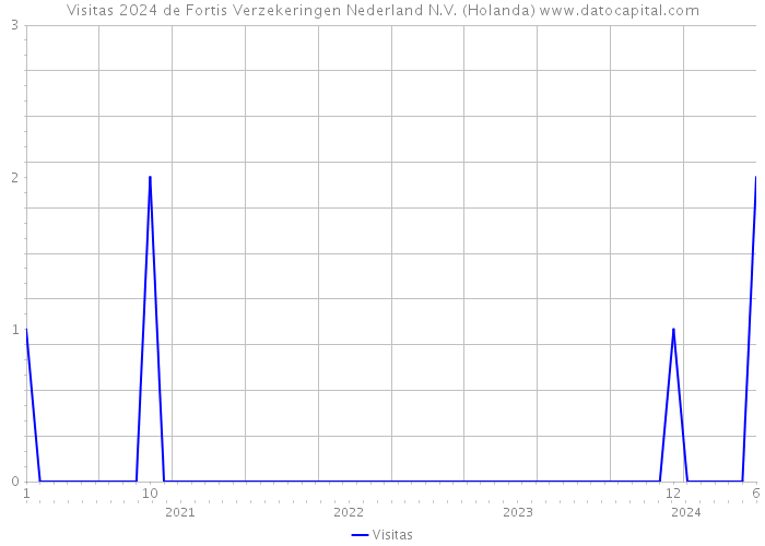 Visitas 2024 de Fortis Verzekeringen Nederland N.V. (Holanda) 