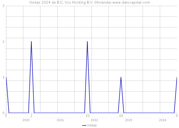 Visitas 2024 de B.G. Vos Holding B.V. (Holanda) 