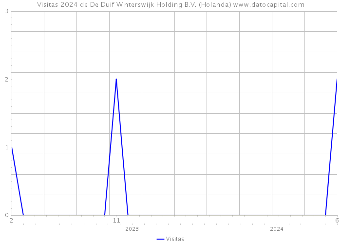 Visitas 2024 de De Duif Winterswijk Holding B.V. (Holanda) 