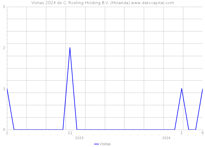 Visitas 2024 de C. Roeling Holding B.V. (Holanda) 