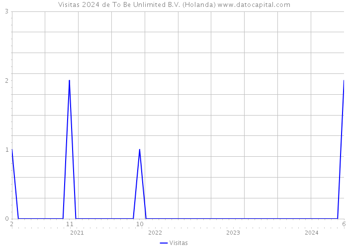 Visitas 2024 de To Be Unlimited B.V. (Holanda) 