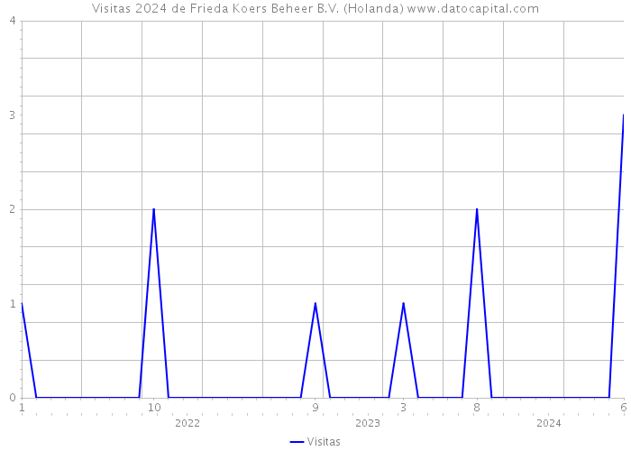 Visitas 2024 de Frieda Koers Beheer B.V. (Holanda) 