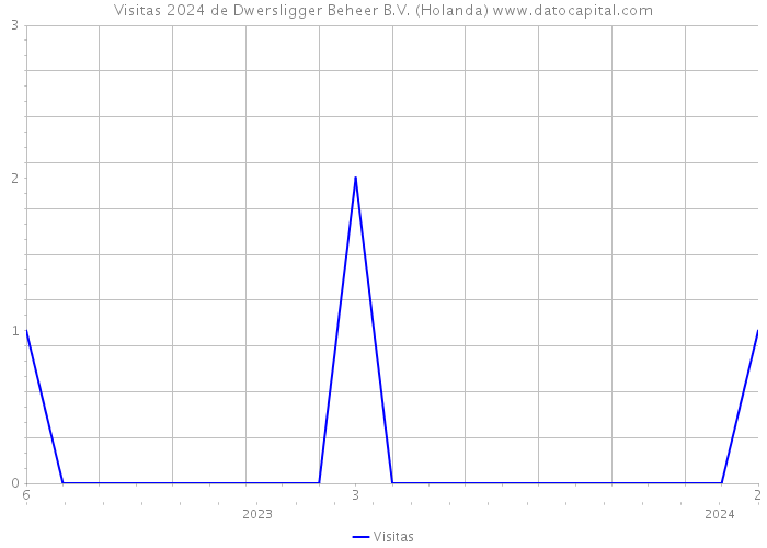 Visitas 2024 de Dwersligger Beheer B.V. (Holanda) 