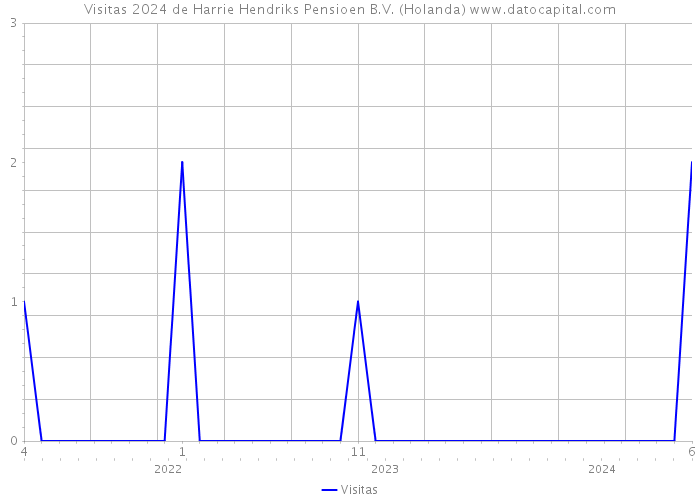 Visitas 2024 de Harrie Hendriks Pensioen B.V. (Holanda) 