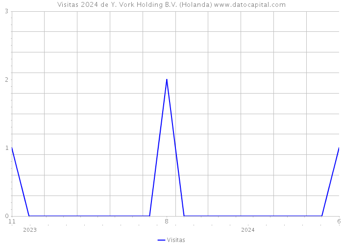 Visitas 2024 de Y. Vork Holding B.V. (Holanda) 