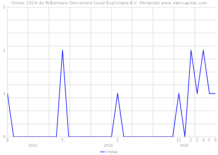 Visitas 2024 de W.Biemans Onroerend Goed Exploitatie B.V. (Holanda) 