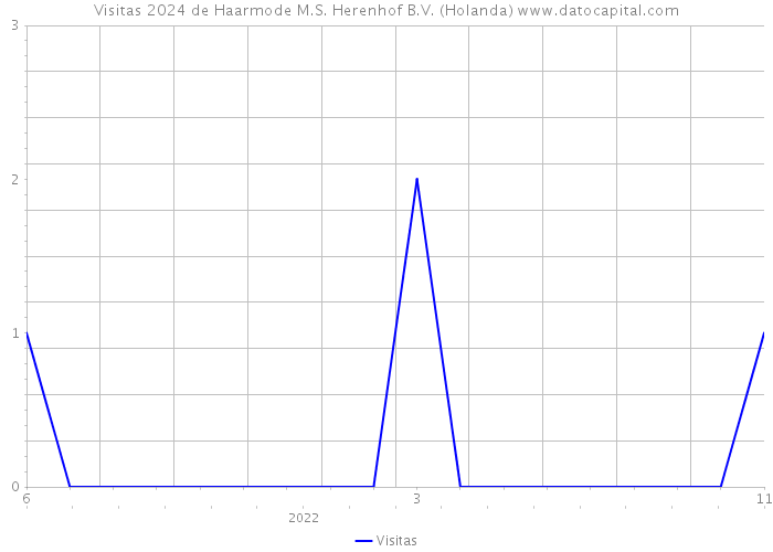 Visitas 2024 de Haarmode M.S. Herenhof B.V. (Holanda) 