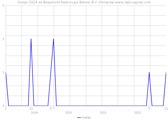 Visitas 2024 de Beaumont Radiologie Beheer B.V. (Holanda) 