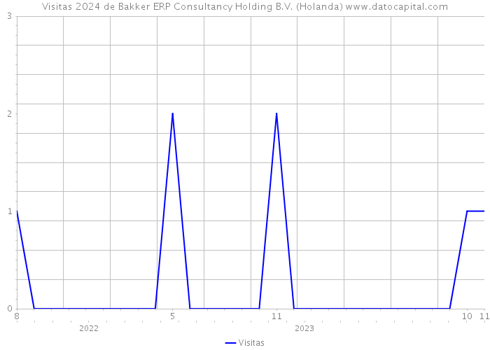 Visitas 2024 de Bakker ERP Consultancy Holding B.V. (Holanda) 
