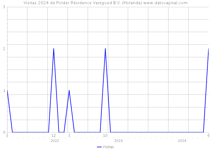 Visitas 2024 de Polder Résidence Vastgoed B.V. (Holanda) 