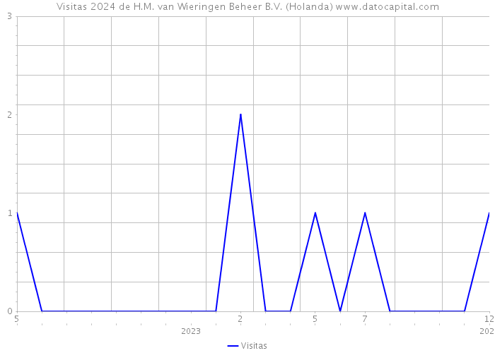 Visitas 2024 de H.M. van Wieringen Beheer B.V. (Holanda) 