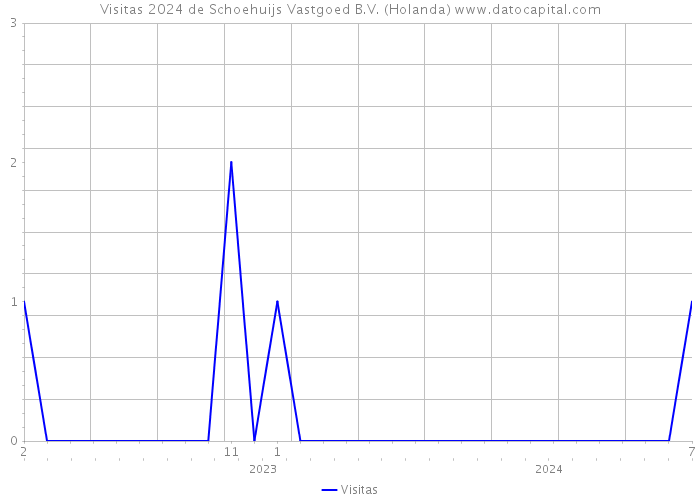 Visitas 2024 de Schoehuijs Vastgoed B.V. (Holanda) 