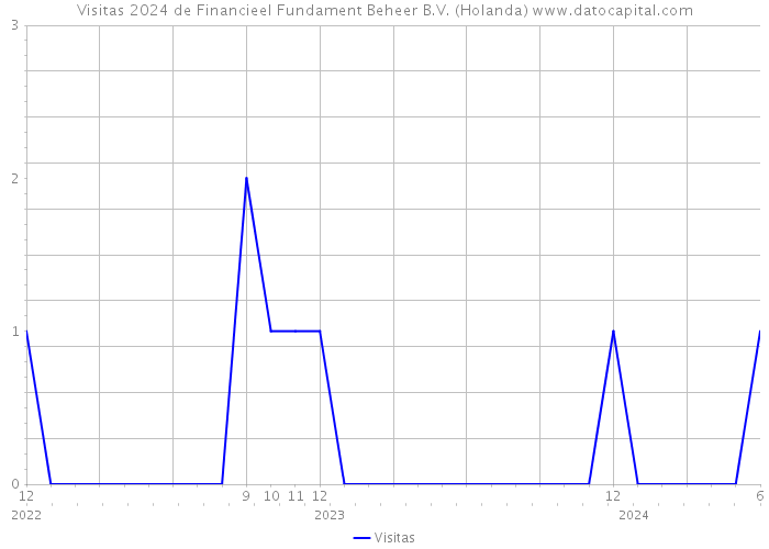 Visitas 2024 de Financieel Fundament Beheer B.V. (Holanda) 