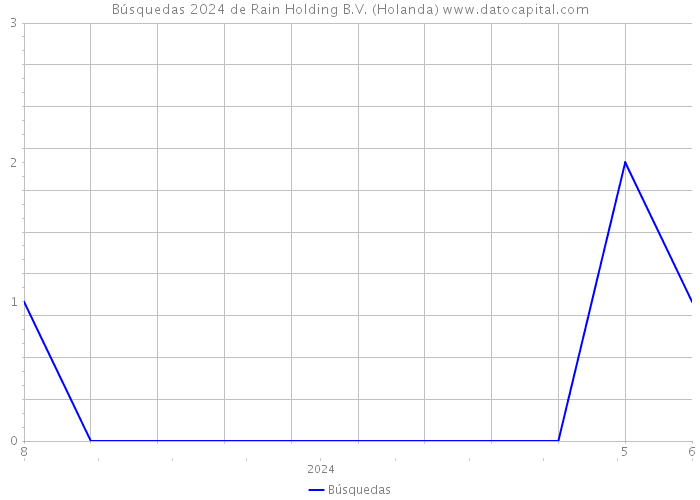 Búsquedas 2024 de Rain Holding B.V. (Holanda) 