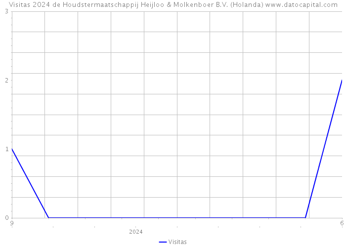 Visitas 2024 de Houdstermaatschappij Heijloo & Molkenboer B.V. (Holanda) 