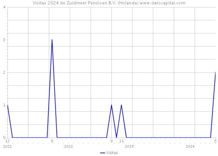 Visitas 2024 de Zuidmeer Pensioen B.V. (Holanda) 