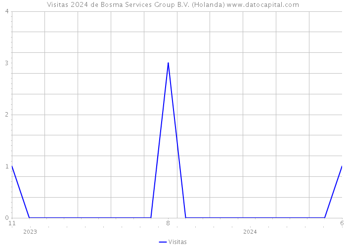Visitas 2024 de Bosma Services Group B.V. (Holanda) 