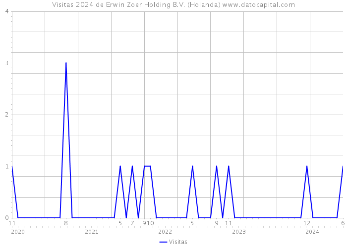 Visitas 2024 de Erwin Zoer Holding B.V. (Holanda) 