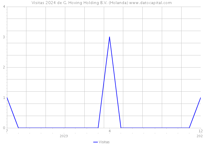 Visitas 2024 de G. Hoving Holding B.V. (Holanda) 