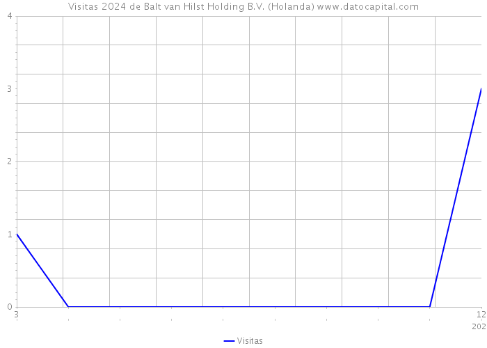 Visitas 2024 de Balt van Hilst Holding B.V. (Holanda) 