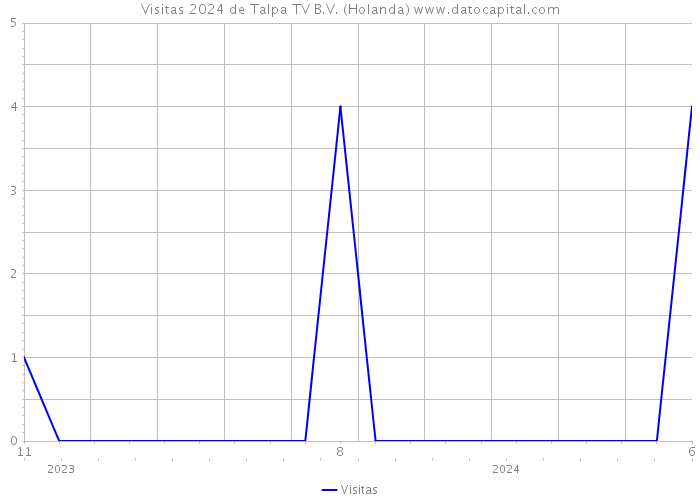 Visitas 2024 de Talpa TV B.V. (Holanda) 