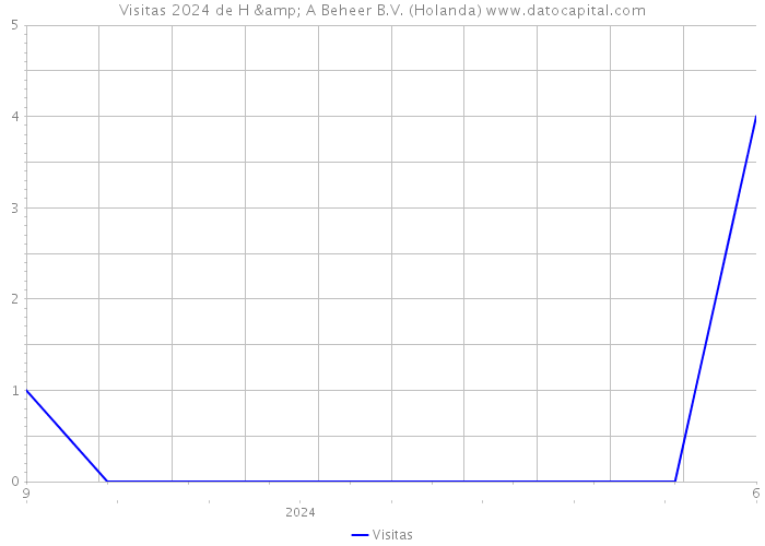 Visitas 2024 de H & A Beheer B.V. (Holanda) 