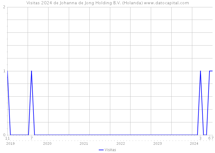 Visitas 2024 de Johanna de Jong Holding B.V. (Holanda) 