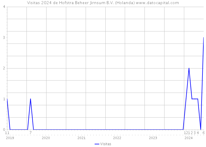 Visitas 2024 de Hofstra Beheer Jirnsum B.V. (Holanda) 