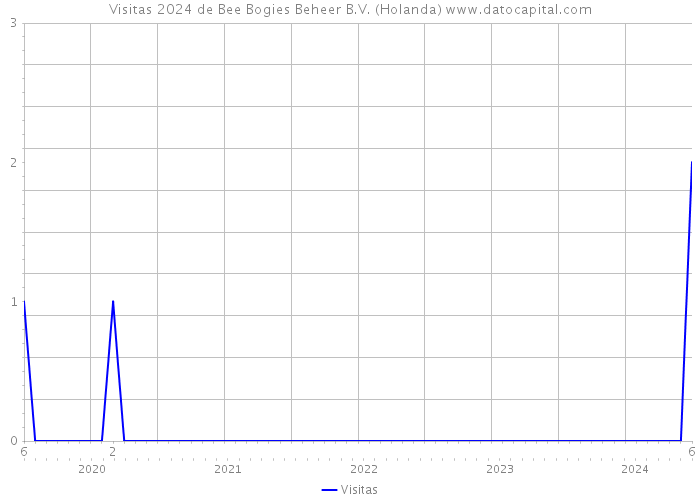 Visitas 2024 de Bee Bogies Beheer B.V. (Holanda) 