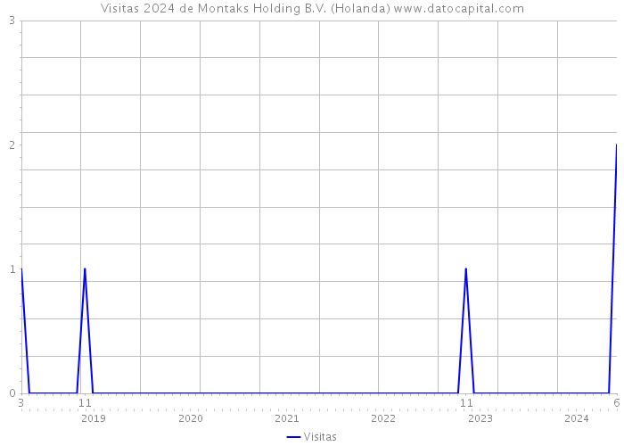 Visitas 2024 de Montaks Holding B.V. (Holanda) 