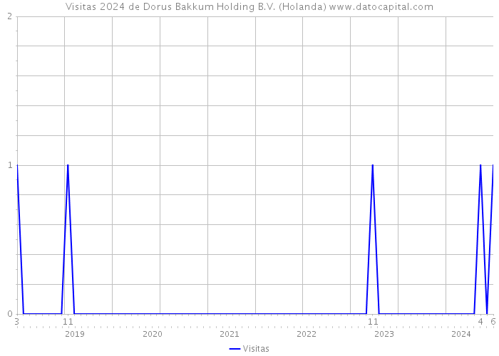 Visitas 2024 de Dorus Bakkum Holding B.V. (Holanda) 