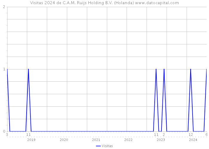 Visitas 2024 de C.A.M. Ruijs Holding B.V. (Holanda) 