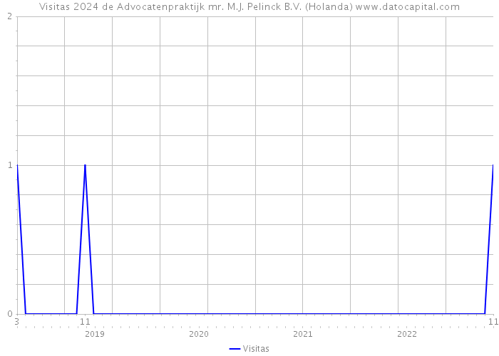 Visitas 2024 de Advocatenpraktijk mr. M.J. Pelinck B.V. (Holanda) 