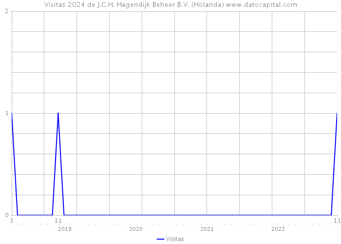 Visitas 2024 de J.C.H. Hagendijk Beheer B.V. (Holanda) 