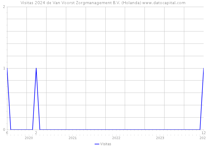 Visitas 2024 de Van Voorst Zorgmanagement B.V. (Holanda) 