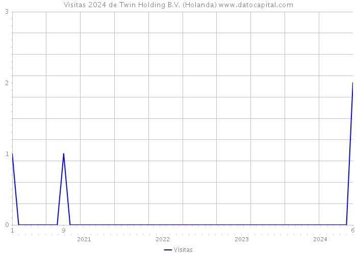 Visitas 2024 de Twin Holding B.V. (Holanda) 