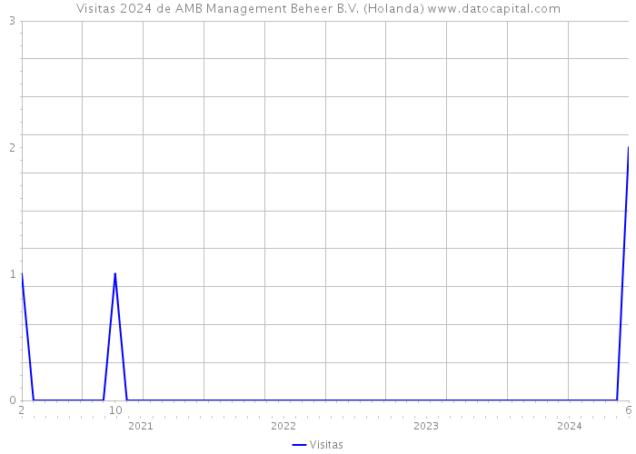 Visitas 2024 de AMB Management Beheer B.V. (Holanda) 