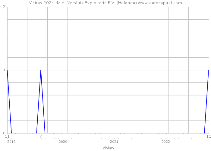 Visitas 2024 de A. Versluis Exploitatie B.V. (Holanda) 