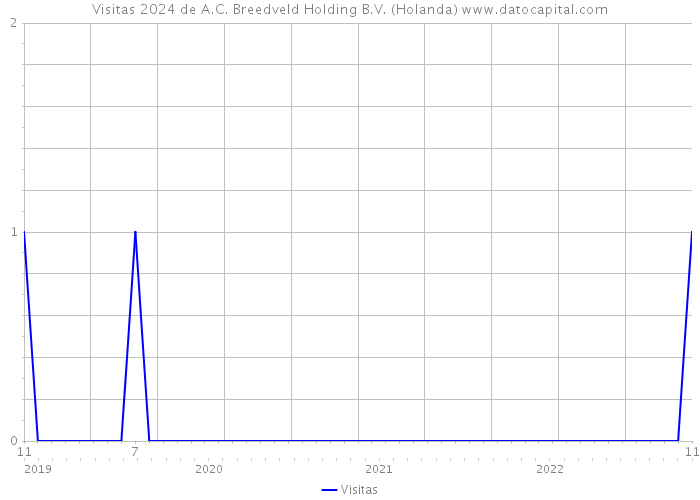Visitas 2024 de A.C. Breedveld Holding B.V. (Holanda) 