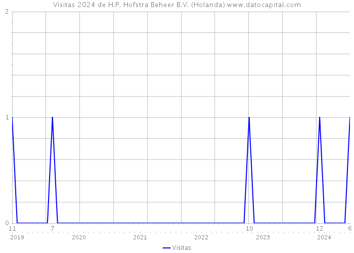 Visitas 2024 de H.P. Hofstra Beheer B.V. (Holanda) 