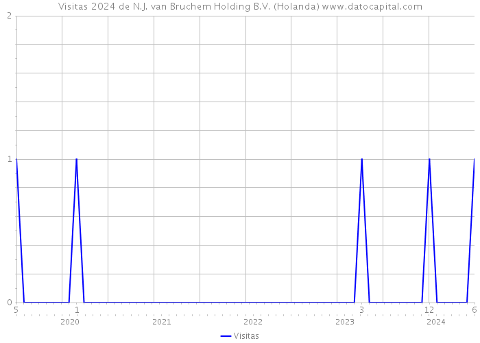 Visitas 2024 de N.J. van Bruchem Holding B.V. (Holanda) 