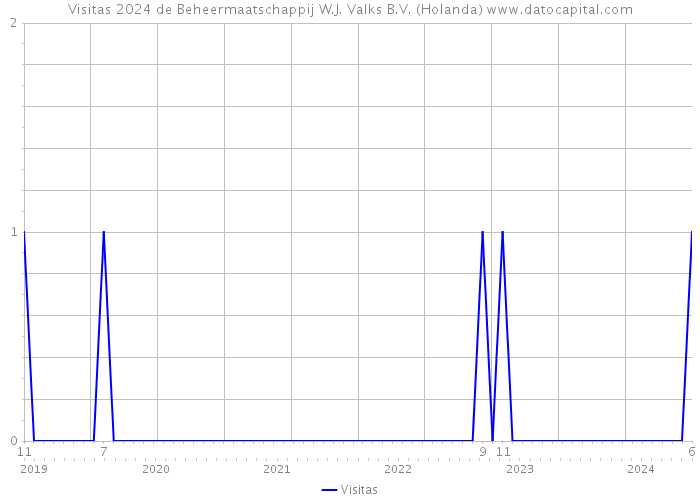 Visitas 2024 de Beheermaatschappij W.J. Valks B.V. (Holanda) 