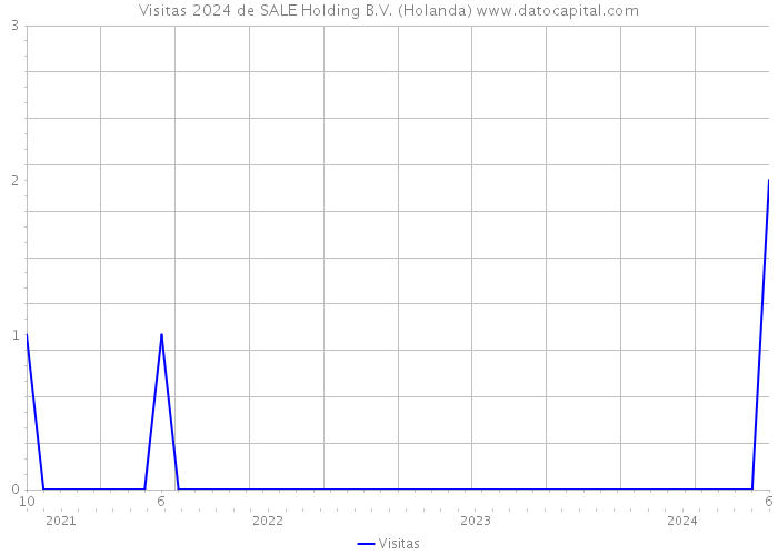 Visitas 2024 de SALE Holding B.V. (Holanda) 