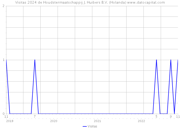 Visitas 2024 de Houdstermaatschappij J. Huibers B.V. (Holanda) 