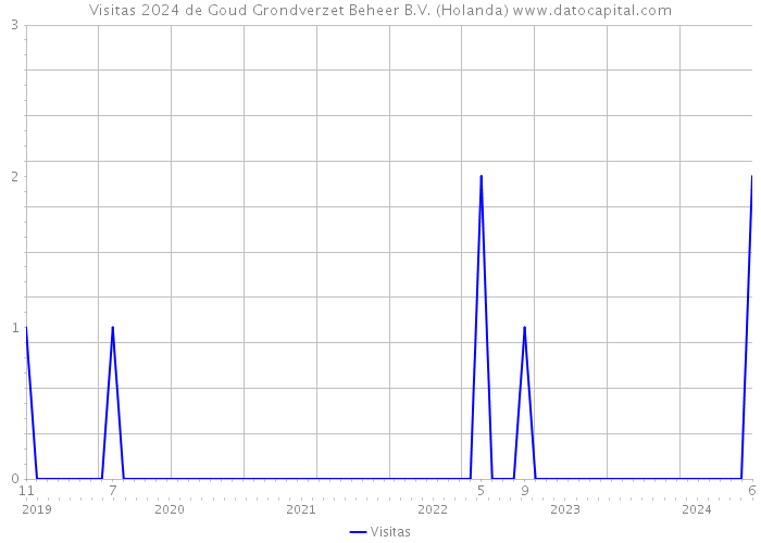 Visitas 2024 de Goud Grondverzet Beheer B.V. (Holanda) 